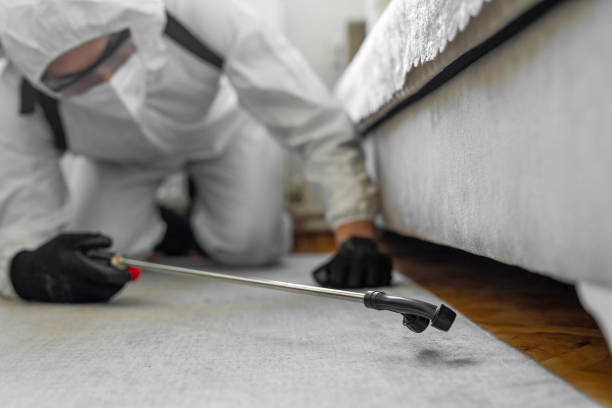 Professional Termite Control technician working in Dimmit County County, TX